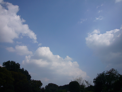 多摩霊園の空.jpg