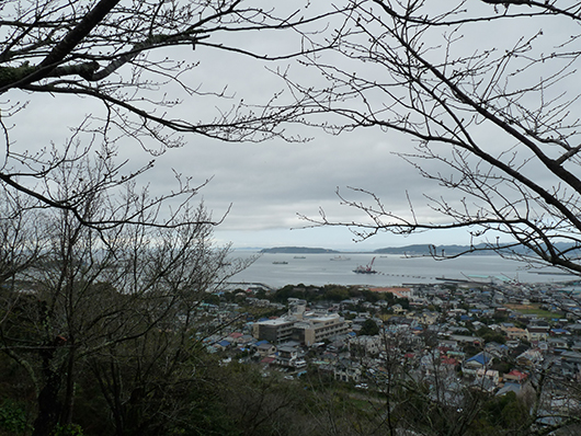 館山の山から海.jpg